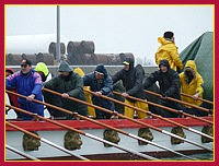 Natale di Venezia 1588° compleanno