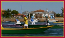 Schie - Portosecco 2011