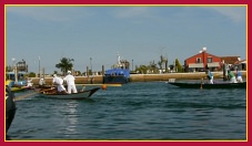 Schie - Portosecco 2011