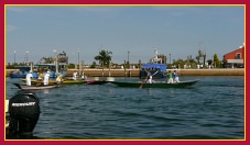 Schie - Portosecco 2011