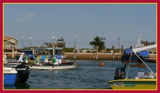 Schie - Portosecco 2011