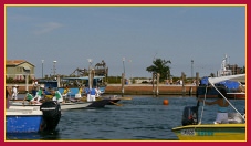 Schie - Portosecco 2011