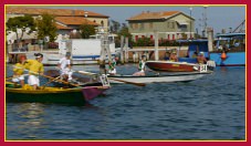 Schie - Portosecco 2011