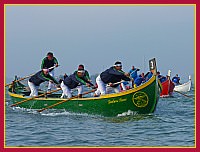 Regata delle 50 Caorline - S.Andrea 2009