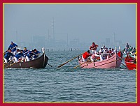 Regata delle 50 Caorline - S.Andrea 2009