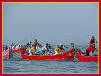 Regata delle 50 Caorline - S.Andrea 2009