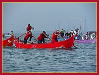 Regata delle 50 Caorline - S.Andrea 2009