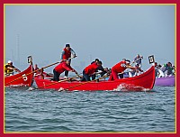 Regata delle 50 Caorline - S.Andrea 2009