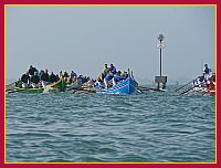 Regata delle 50 Caorline - S.Andrea 2009