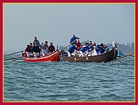 Regata delle 50 Caorline - S.Andrea 2009
