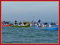 Regata delle 50 Caorline - S.Andrea 2009