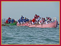 Regata delle 50 Caorline - S.Andrea 2009