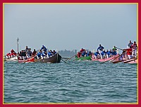 Regata delle 50 Caorline - S.Andrea 2009