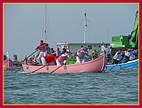 Regata delle 50 Caorline - S.Andrea 2009
