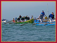 Regata delle 50 Caorline - S.Andrea 2009