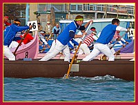 Regata delle 50 Caorline - S.Andrea 2009
