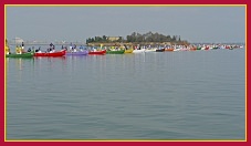 Sant'Andrea 2011 Regata delle Caorline