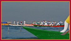 Regata Sandoli Donne Sant' Andrea 27 Novembre 2011