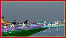 Regata Sandoli Donne Sant' Andrea 27 Novembre 2011