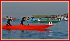 Regata Schie Sant'Andrea - 27 Novembre 2011