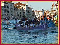 Regata Storica 2009 Caorline - Viola (Giudecca): Michele Zennaro, Giuseppe Barichello, Marino Massaro, Claudio Carrettin, Giuseppe Bognolo, Giuliano Pagan